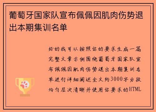 葡萄牙国家队宣布佩佩因肌肉伤势退出本期集训名单